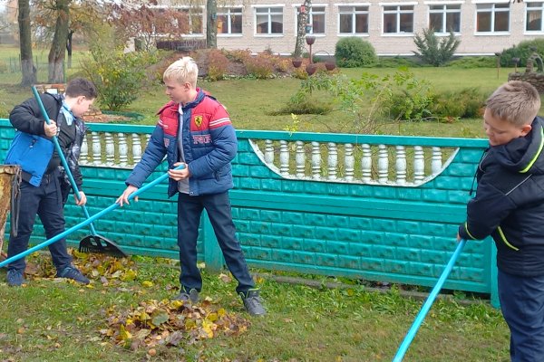 Трудовой десант 