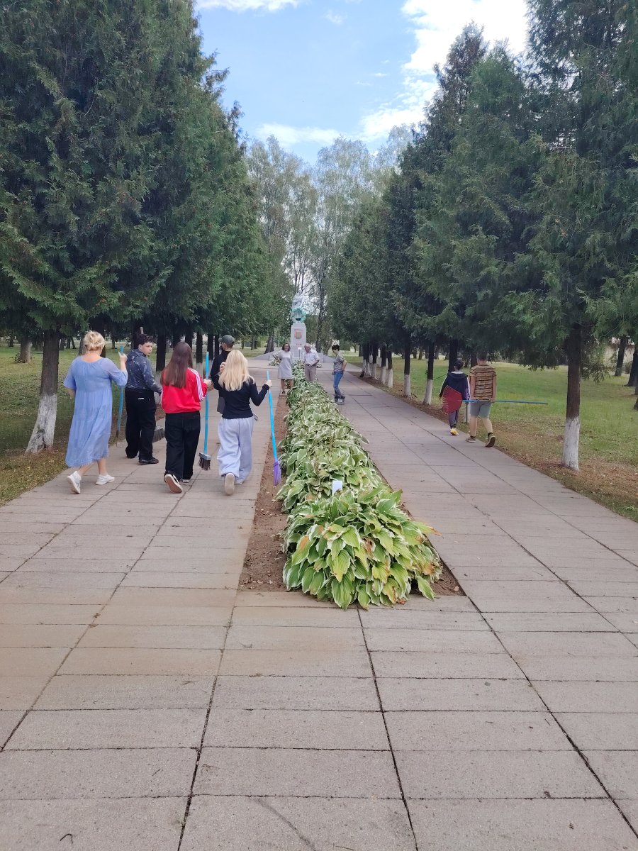 Операция 